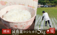 [定期便12回] 令和7年産 減農薬栽培米 コシヒカリ5kg 精米 [ こしひかり 白米 玄米 お米 米 こめ 農家直送 国産 ごはん ご飯 白飯 ゴハン ふるさと おすすめ 定期便 5キロ 選べる 京都 綾部 ]