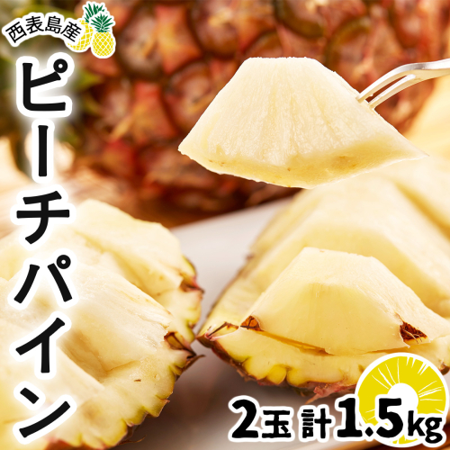 2026年 先行予約 ピーチパイン 2玉 ★西表島ふる～つらんど★不動の人気No.1 甘熟 果物 フルーツ パイン 1239705 - 沖縄県竹富町