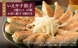 【配送不可：離島】 浜松市の餃子専門店が作るいえやす餃子（浜松餃子）です。お店で人気の定番餃子2種をお届けします。 国産野菜にブランド豚夢ポーク、地元の老舗醤油屋の醤油を使用。シャキシャキキャベツとパ
