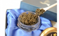 中津川キャビア S Caviar 食べ比べ4種（オシェトラ＋3種）