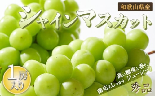 シャインマスカット 1房（600g以上）［2025年8月中旬以降出荷］［MG24］ 1240708 - 和歌山県上富田町