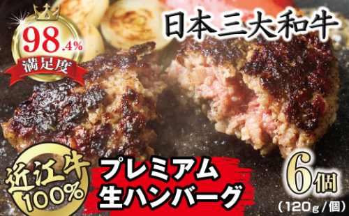 近江牛１００％　プレミアム生ハンバーグ　720g（約120g×6個）【FO18W】 1240841 - 滋賀県近江八幡市