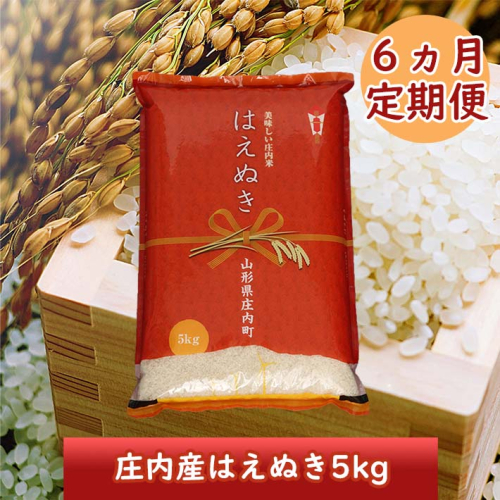 ＜1月中旬発送＞庄内米6か月定期便！はえぬき5kg（入金期限：2024.12.31） 1240919 - 山形県庄内町