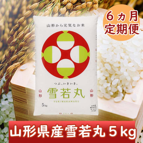 ＜11月中旬発送＞山形米6か月定期便！雪若丸5kg（入金期限：2024.10.25） 1240933 - 山形県庄内町