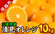 【規格外】三重県産　清見オレンジ（きよみ） 10kg【出荷目安：３月中旬〜４月中旬】 II-55