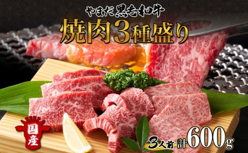 北海道 倶知安町 やまだ黒毛和牛 計600g 焼肉用 ウデ モモ バラ ミックス 200g×3 黒毛和牛 国産牛 お取り寄せ 牛肉 お祝い 和牛 ギフト A4ランク 牛 羊蹄山 送料無料 冷凍 ニセコファーム しりべしや お肉 バーベキュー  124154 - 北海道倶知安町