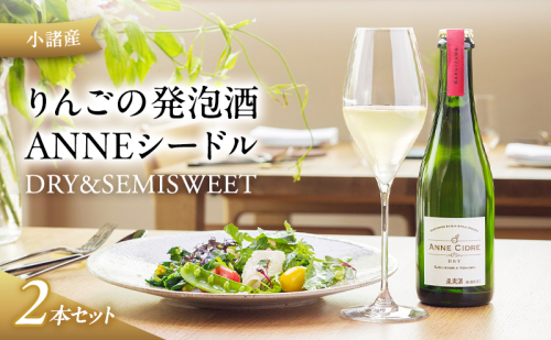 小諸産 りんごの発泡酒 ANNEシードル（DRY＆SEMISWEET）２本セット 124181 - 長野県小諸市