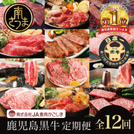 【JA食肉かごしま】鹿児島黒牛 定期便（全12回） かごしまブランド 黒毛和牛 和牛 牛肉 お肉 霜降り 赤身 ステーキ 焼肉 焼き肉 バーベキュー BBQ すき焼き しゃぶしゃぶ 食べ比べ 定期便 JA食肉かごしま 南さつま市