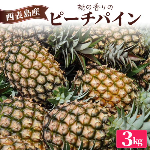 2026年 先行予約 ピーチパイン 約3kg (3～5玉) 桃の香り ますみ農園 パイン 果物 フルーツ パイン 1242253 - 沖縄県竹富町