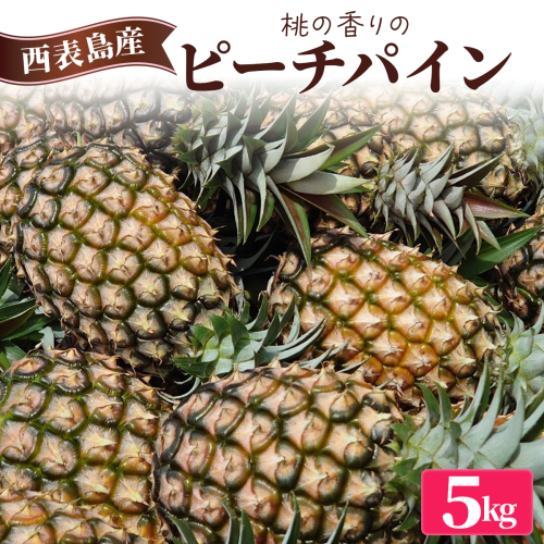 2026年 先行予約 ピーチパイン 約5kg (5～8玉) 桃の香り ますみ農園 パイン 果物 フルーツ 1242254 - 沖縄県竹富町