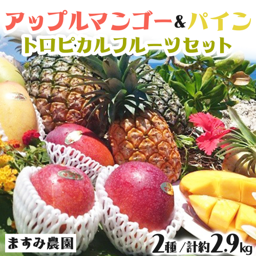 2026年 先行予約 パイン マンゴー セット トロピカルフルーツセット ますみ農園 果物 1242256 - 沖縄県竹富町