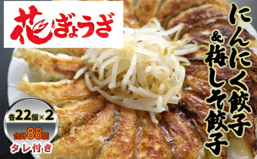 にんにく餃子(22個入り×2袋)と梅しそ餃子(22個入り×2袋)のセット 惣菜 冷凍餃子 中華 夕飯 夜ごはん おかず 食べ比べ おつまみ ビールのおつまみ  1242321 - 静岡県森町