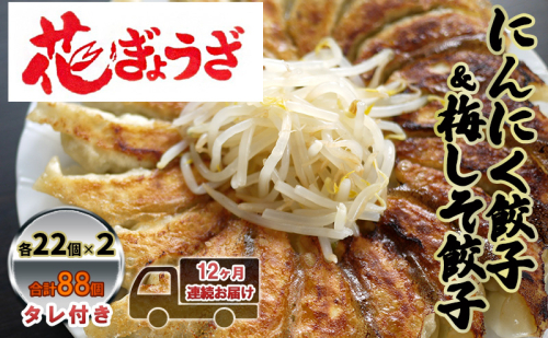 にんにく餃子(22個入り×2袋)と梅しそ餃子(22個入り×2袋)　12ヶ月連続お届け 惣菜 冷凍餃子 中華 夕飯 夜ごはん おかず 食べ比べ おつまみ ビールのおつまみ  1242324 - 静岡県森町