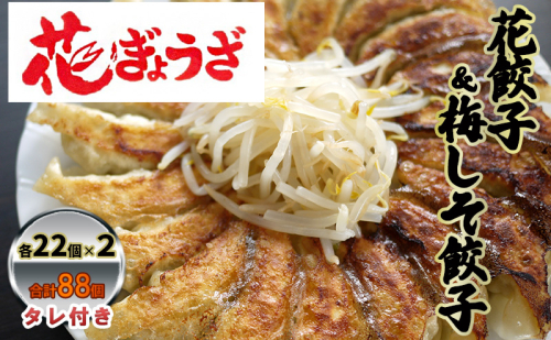 花餃子(22個入×2袋)と梅しそ餃子(22個入×2袋)のセット  惣菜 冷凍餃子 中華 夕飯 夜ごはん おかず 食べ比べ おつまみ ビールのおつまみ  1242325 - 静岡県森町