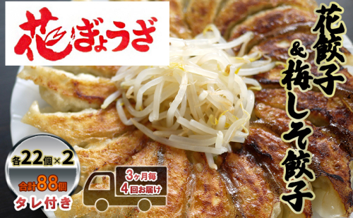 花餃子(22個入×2袋)と梅しそ餃子(22個入×2袋)のセット 3ヶ月毎4回お届け 惣菜 冷凍餃子 中華 夕飯 夜ごはん おかず 食べ比べ おつまみ ビールのおつまみ  1242327 - 静岡県森町