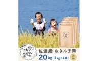 佐渡島産 ゆきん子舞 玄米20kg(5kg×4袋)【令和5年産】