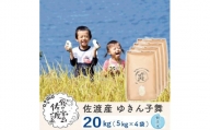 佐渡島産 ゆきん子舞 無洗米20kg(5kg×4袋)【令和5年産】
