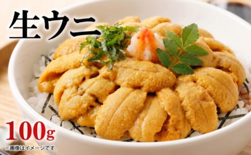 生ウニ 100g ミョウバン不使用 冷蔵 添加物無添加 ムラサキウニ 季節限定 生うに 生雲丹  天然 海鮮丼 寿司 ウニ丼 刺身 直送 災害 被災 震災 火災 山火事 支援 岩手県 三陸 大船渡市