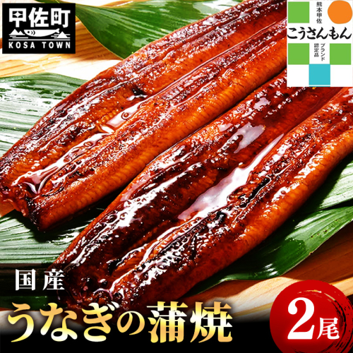 【甲佐ブランド】 うなぎ 蒲焼き 2尾 【こうさんもん認定商品】熊本産 国産 総重量300ｇ以上 124330 - 熊本県甲佐町