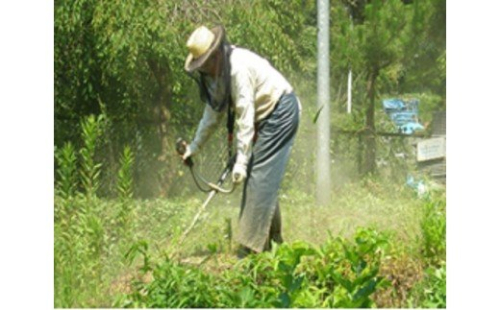 空き家、空き地の草刈サービス（年1回）- シルバー人材センター 除草 草刈り 写真報告 代行サービス 熊本県 甲佐町 124380 - 熊本県甲佐町