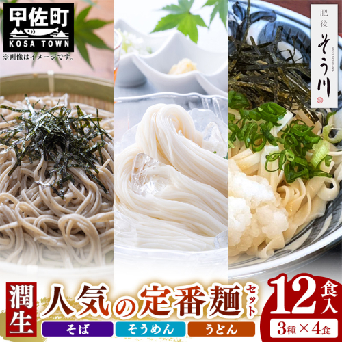 潤生「人気の定番麺」セット12食入り - うどん そば そうめん 饂飩 蕎麦 素麺 麺類 国産 九州産 小麦 つゆ付 国産小麦 手延べ てのべ 潤い 早茹で 再熟成 こだわり もっちり食感 簡単 煮込むだけ 常温保存可能 人気 おすすめ 熊本県 甲佐町 124383 - 熊本県甲佐町