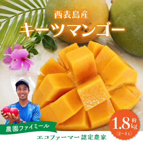 2026年 先行予約 マンゴー 約1.8kg 2～4玉 希少品種濃密 キーツマンゴー 高糖度保証！農園ファイミール 果物 フルーツ 1243965 - 沖縄県竹富町