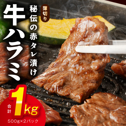 牛ハラミ肉 1kg 薄切り スライス【小分け 500g×2 訳あり サイズ不揃い 秘伝の赤タレ漬け 牛肉 焼肉用 焼くだけ 小分け BBQ やきにく 数量限定】 010B1515 1244071 - 大阪府泉佐野市