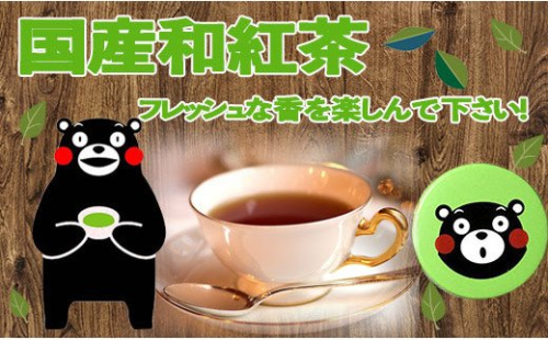 緑缶　国産和紅茶ティーパック - 茶葉 国産 こだわり 熟成 和紅茶 甘熟 まろやか おすすめ 日本の紅茶 ティーバッグ くまモン缶 贈り物 ギフト プレゼント 熊本県 甲佐町 124417 - 熊本県甲佐町