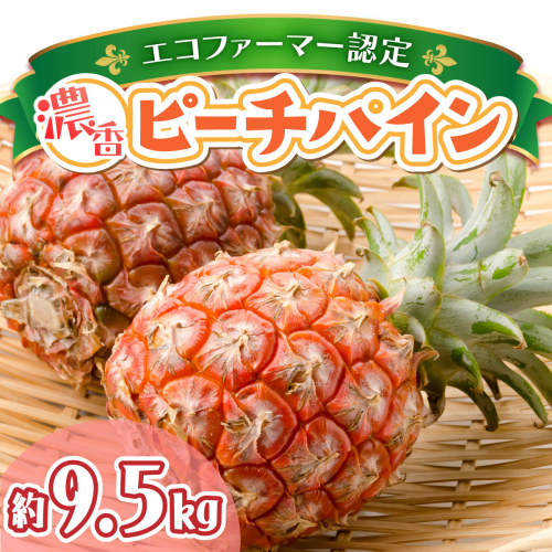 2026年 先行予約 ピーチパイン約9.5kg 濃香 パイン ★たっぷり大家族サイズ★西表島 絶品 初エコファーマー認定 036-a008_2026 1244181 - 沖縄県竹富町