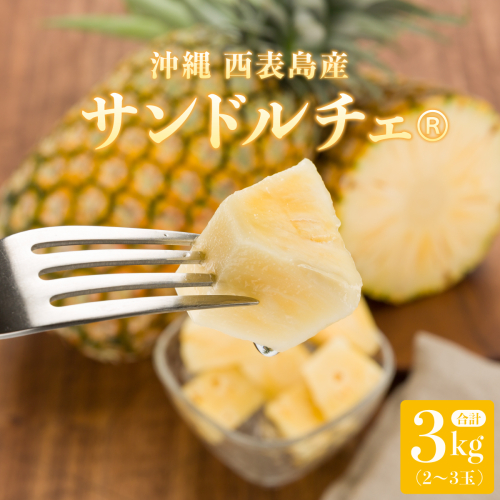 熟鮮サンドルチェ(R) 3kg(2～3玉 )2026年 先行予約 パイン沖縄 西表島産 レア品種 沖縄 西表島産 果物 フルーツ 1244187 - 沖縄県竹富町