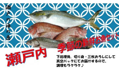 瀬戸内　季節の新鮮お魚セット【D-1】 12443 - 香川県多度津町