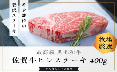 《佐賀牛》「梁井」希少部位 ヒレステーキ 2枚 400g【佐賀牛 ヒレステーキ フィレステーキ ヒレ肉 フィレ やわらか 上質 サシ 美味しい パーティー イベント ブランド肉】 K081033 1244458 - 佐賀県基山町