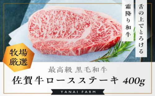 《佐賀牛》「梁井」霜降りロースステーキ 2枚 400g【佐賀牛 霜降り肉 ロース肉 サシ ステーキ 肉汁 とろける やわらか 美味しい ブランド肉】K081037 1244459 - 佐賀県基山町