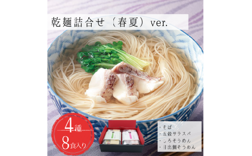 乾麺詰合せ（春夏）８食入り 124455 - 熊本県甲佐町