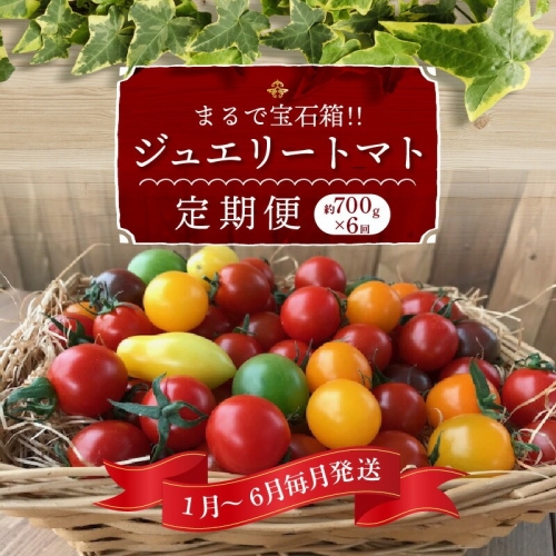 1月～6月毎月発送　まるでトマトの宝石箱！ジュエリートマトの定期便　約700g×6回コース　H004-170 1244599 - 愛知県碧南市