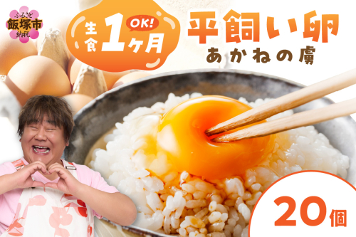 〈平飼い卵〉あかねの虜（20個）【A-841】 1244718 - 福岡県飯塚市