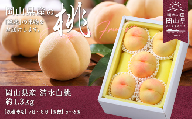 岡山県産「清水白桃」約1.3kg（5～6玉）