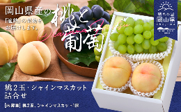 【ふるさと納税】岡山県産「白桃・シャインマスカット」詰合せ 約1.0kg