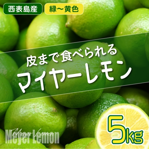 まとめてお得 果汁たっぷり マイヤーレモン（島レモン）約5kg 1244870 - 沖縄県竹富町