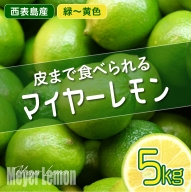 まとめてお得 果汁たっぷり マイヤーレモン（島レモン）約5kg