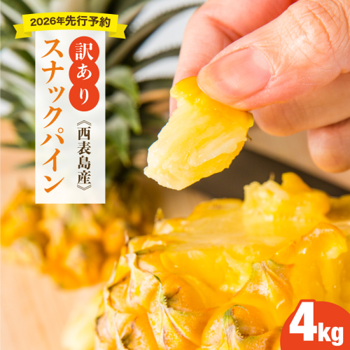 【訳あり】大きさ不揃い　お得！箱にいっぱいスナックパイン4kgセット 1244921 - 沖縄県竹富町