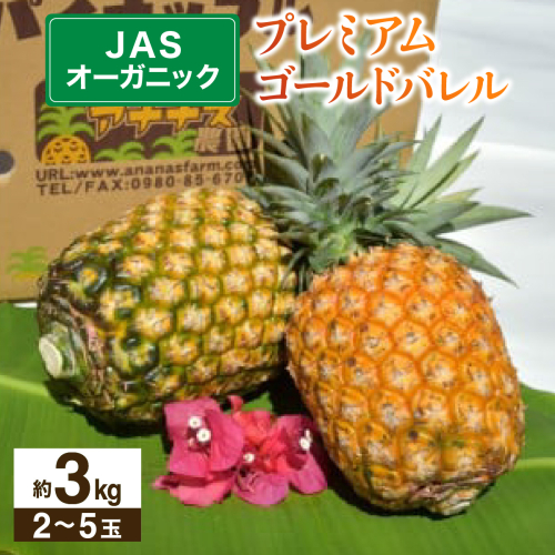 【JASオーガニック】 プレミアムゴールドバレル 約3kg 2～5玉 023-a009_2026 1245119 - 沖縄県竹富町