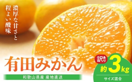 BL6171_【2025年先行予約】【産地直送】和歌山県産 有田みかん 3kg サイズ混合 【訳あり】 1245120 - 和歌山県湯浅町