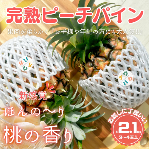 ☆新感覚の味わい☆ 桃のような甘〜い香りのする芳醇なパイナップル『完熟ピーチパイン』約2.1kg 西表島ナウパカ 1245206 - 沖縄県竹富町