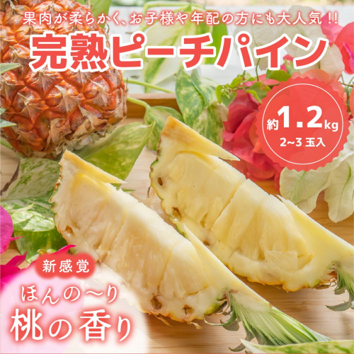 ☆新感覚の味わい☆桃のような芳醇な香りのする　『西表島産完熟ピーチパイン』 約1.2kg（2～3個入） 1245207 - 沖縄県竹富町
