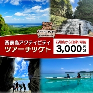 旅行券 沖縄 チケット 西表島 アクティビティ ツアーチケット 3,000円 旅行クーポン 旅行 体験 観光 クーポン