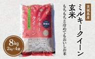 令和5年産 茨城県産 ミルキークイーン 玄米 2kg×4袋｜このお米は石抜き機、色彩選別機の処理済みです※離島への配送不可