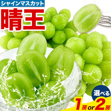 ぶどう [2026年先行予約] シャインマスカット 晴王 1房 約670g 岡山県産 2房 約1.1kg《9月上旬-10月末頃出荷(土日祝除く)》 ハレノフルーツ マスカット 送料無料 岡山県 浅口市 フルーツ 果物 贈り物 ギフト 国産 岡山県産 くだもの 青果物　【配送不可地域あり】 1246156 - 岡山県浅口市
