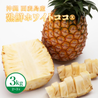 リピーター続出の希少種パイン！　数量限定販売　先行予約　パイナップル　沖縄　西表島　熟鮮ホワイトココⓇ　3kg　2～3玉　ココナッツに似た香り　果物　フルーツ　デザート