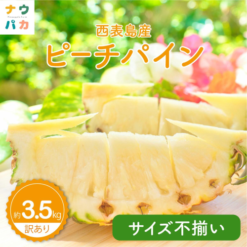 【訳あり】☆新感覚の味わい☆まるで桃のような甘～い香り　『西表島産完熟ピーチパイン』 約3.5kg 1246375 - 沖縄県竹富町